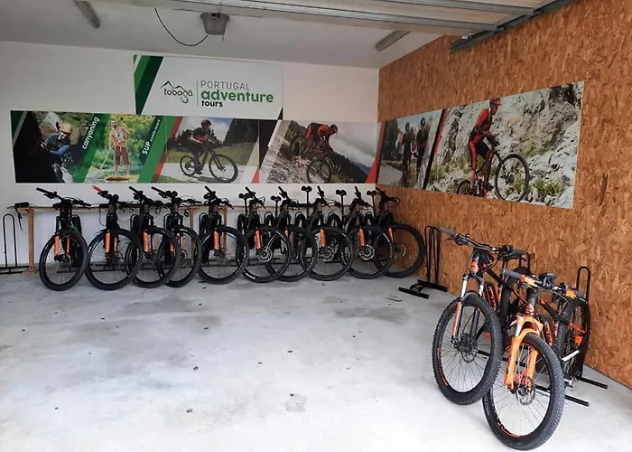 Olhares Do Lobo 폰테다바카