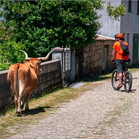 Olhares Do Lobo Farma Ponte da Barca