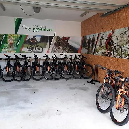 Olhares Do Lobo Ponte da Barca