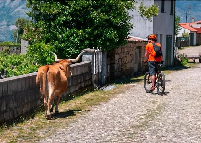 Olhares Do Lobo Alojamento de Turismo Rural Ponte da Barca